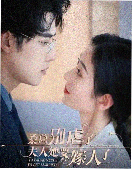 燃煤锅炉脉冲喷吹除尘机组档案图