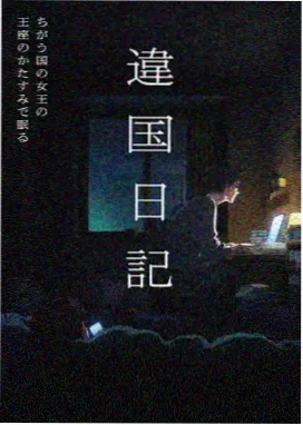 滤筒复合原型折叠滤筒与袋区串联示意